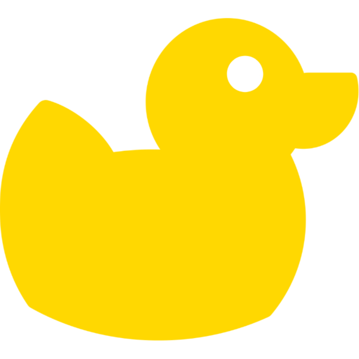 Sleepy duck